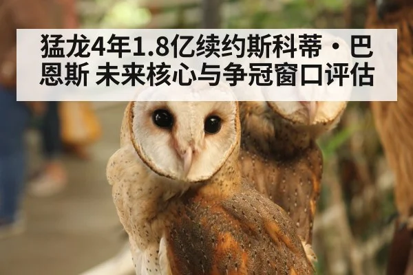 猛龙4年1.8亿续约斯科蒂·巴恩斯 未来核心与争冠窗口评估